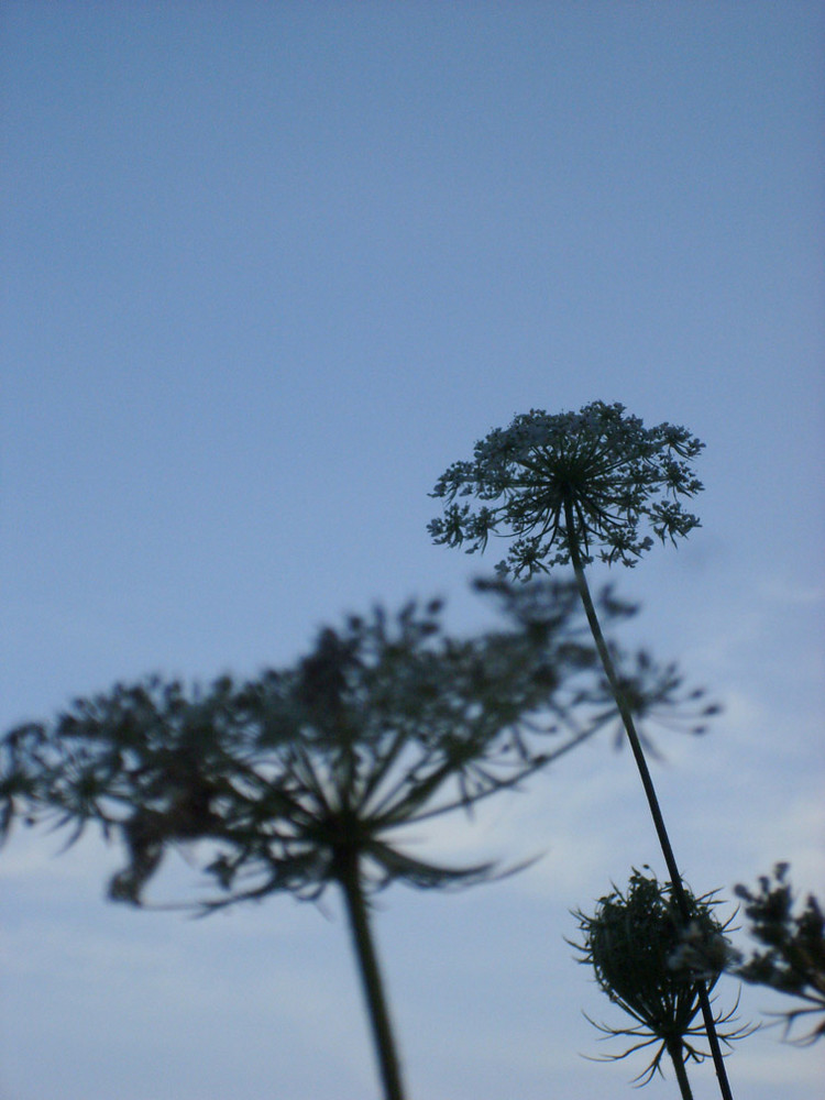 am schönen lech