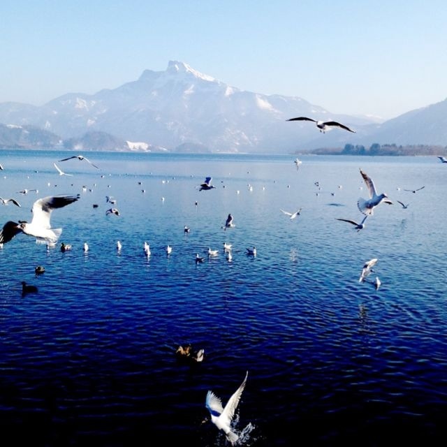 Am schönen Mondsee! Immer eine Reise wert :)