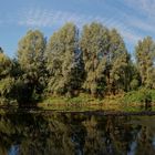 Am schönen Neckarstrand