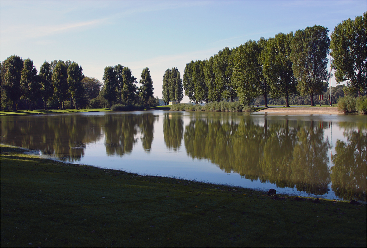 Am schönen Rhein