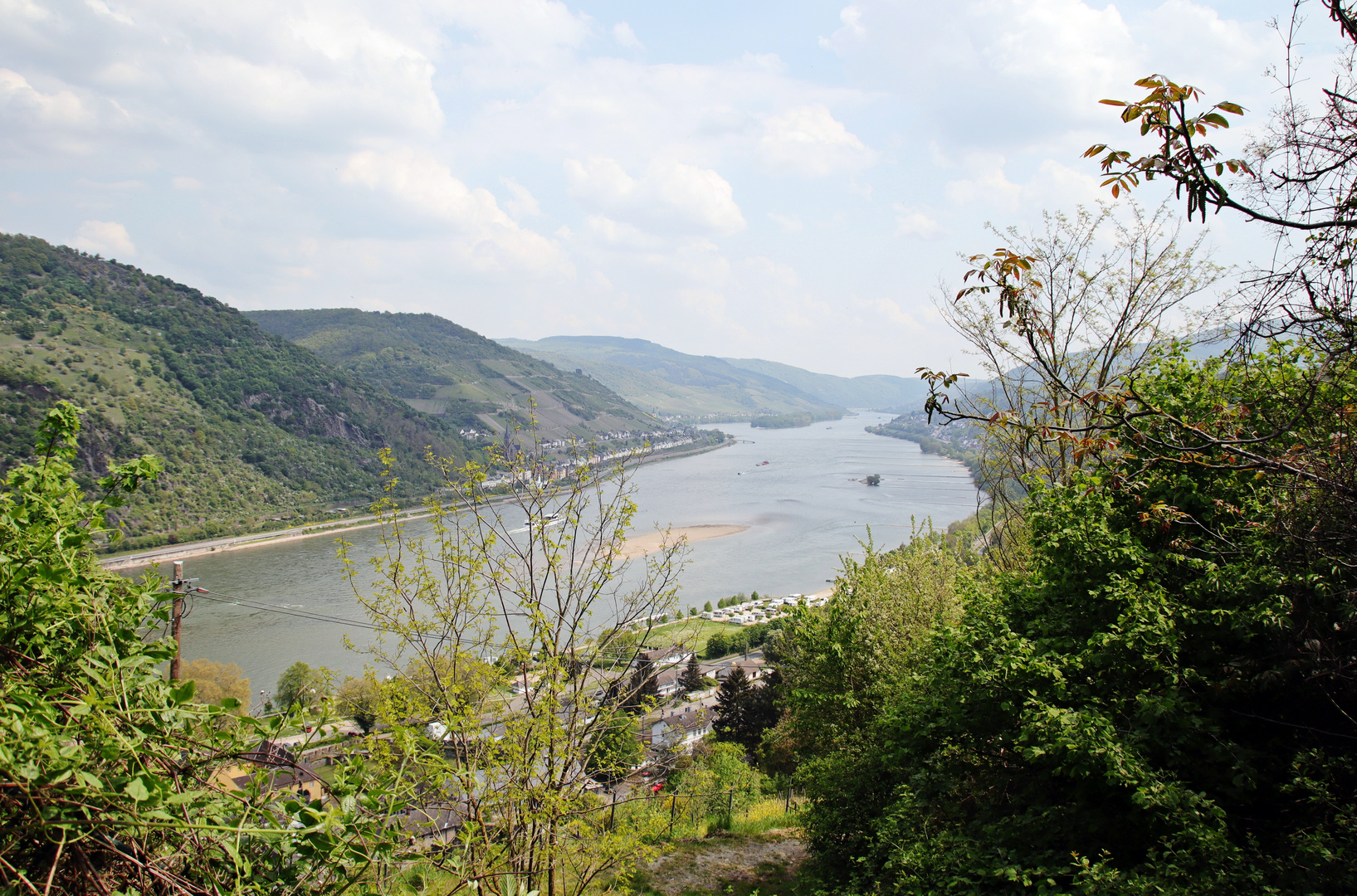 am schönen Rhein