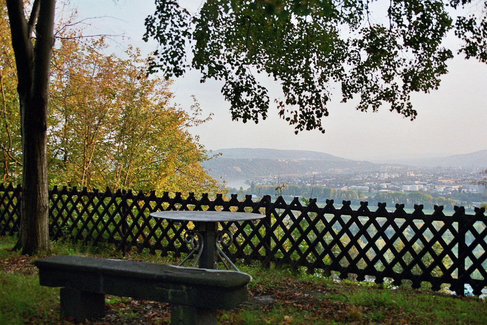 Am schönen Rhein