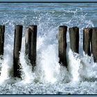 Am Schönen strand von Cadzand