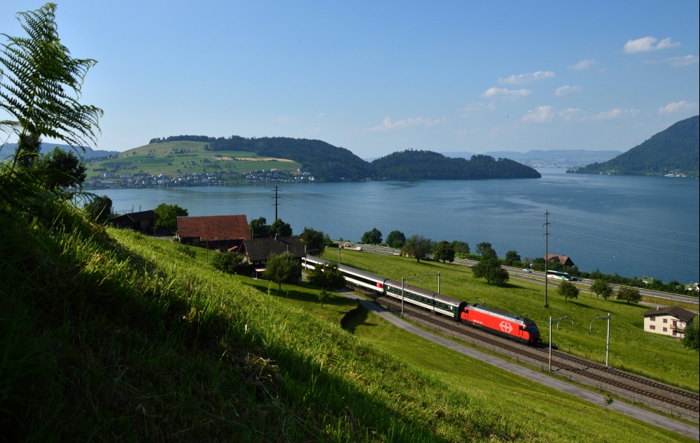 Am schönen Zugersee