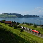 Am schönen Zugersee