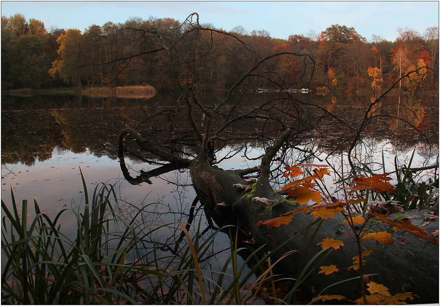 Am schönsten ist er im Herbst ...