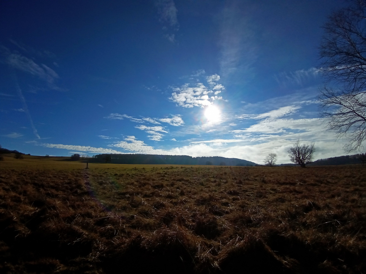 Am Schopflocher Moor