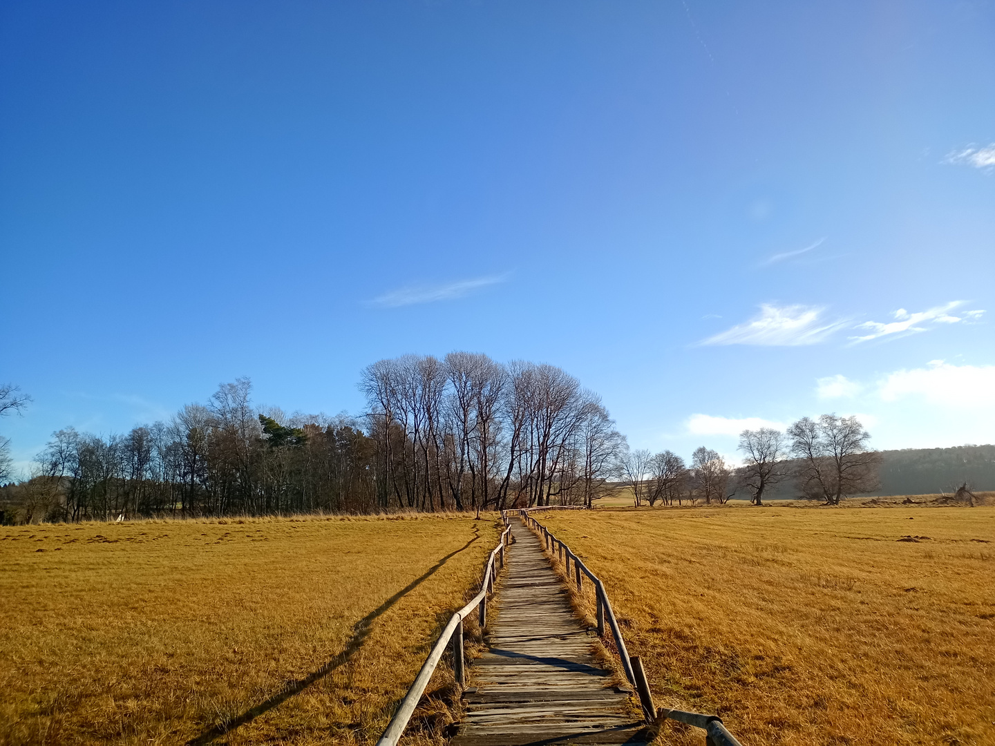 Am Schopflocher Moor