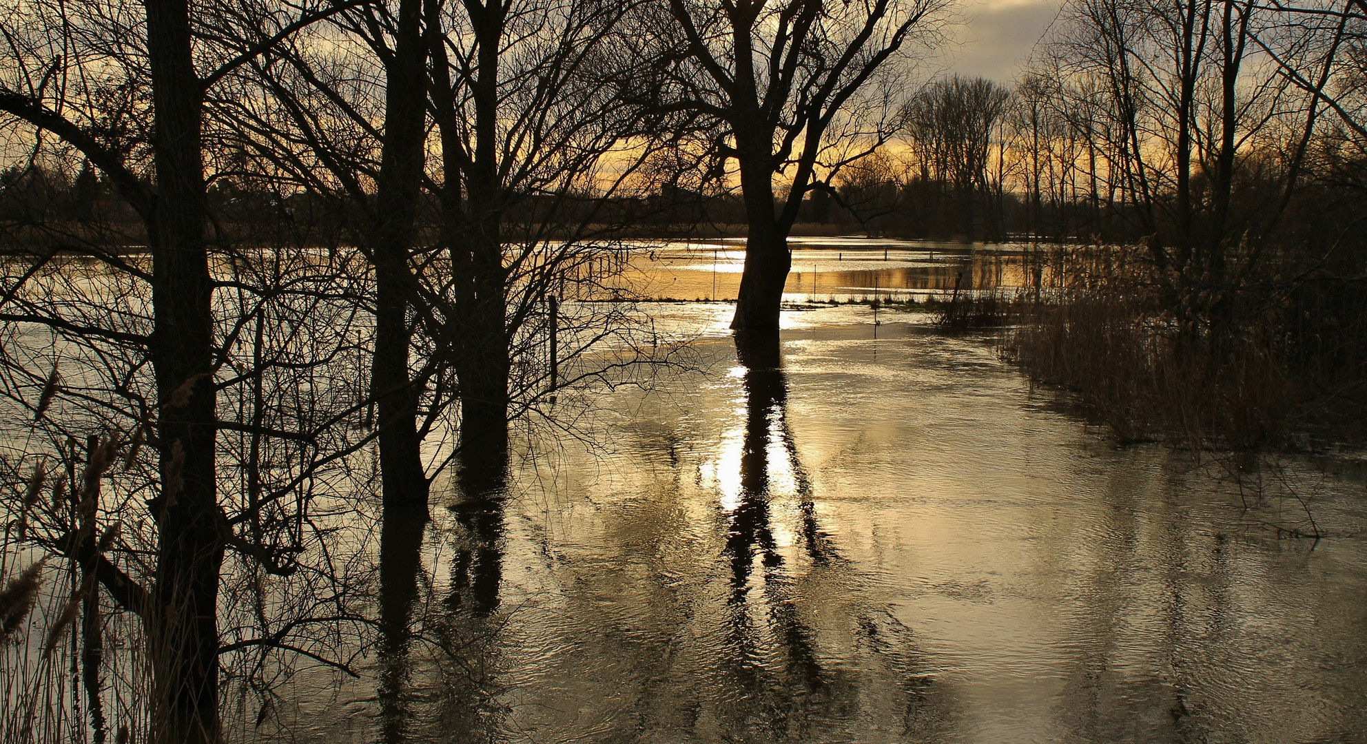 Am Schuntermeer