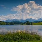 Am Schwaltenweiher