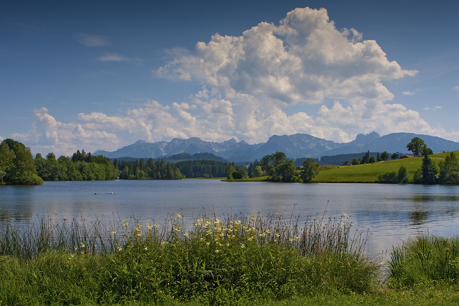 Am Schwaltenweiher