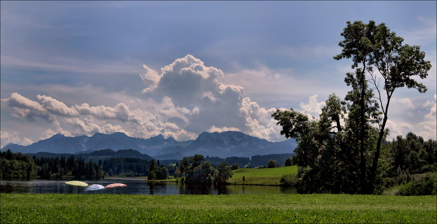 Am Schwaltenweiher