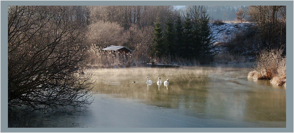 am "Schwanensee"