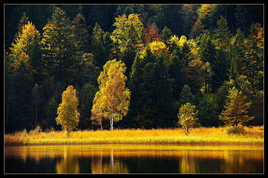 Am Schwanensee