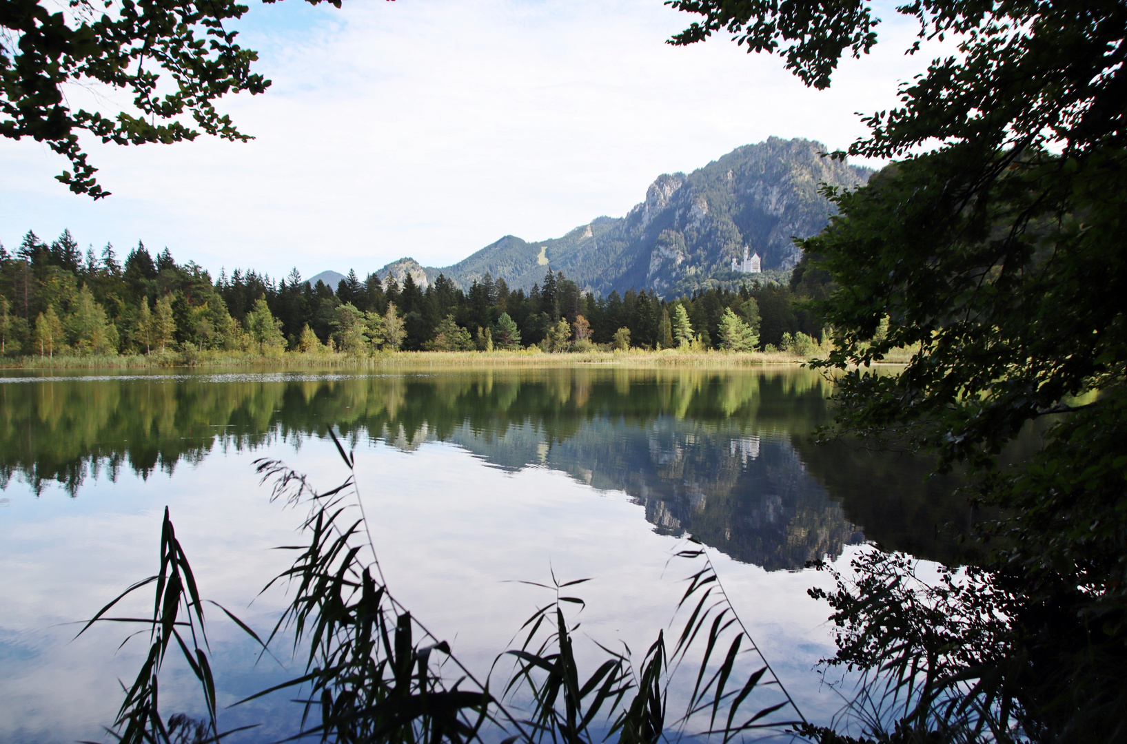 am Schwansee