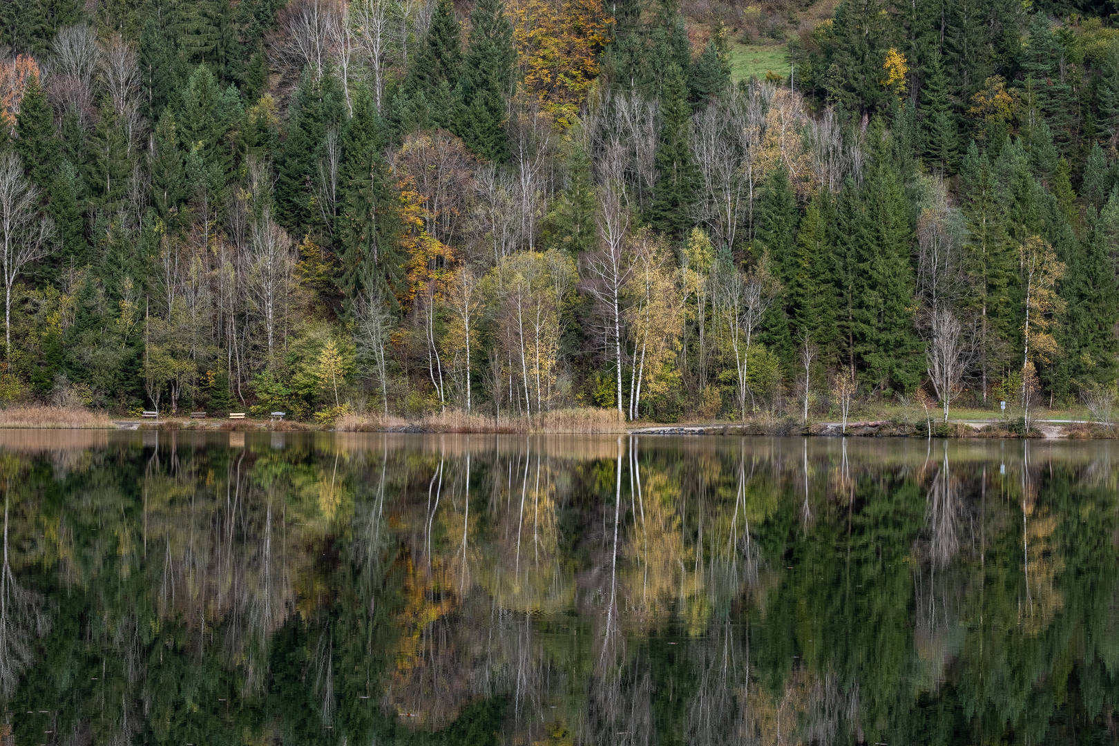 Am Schwansee bei Füssen.