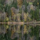 Am Schwansee bei Füssen.