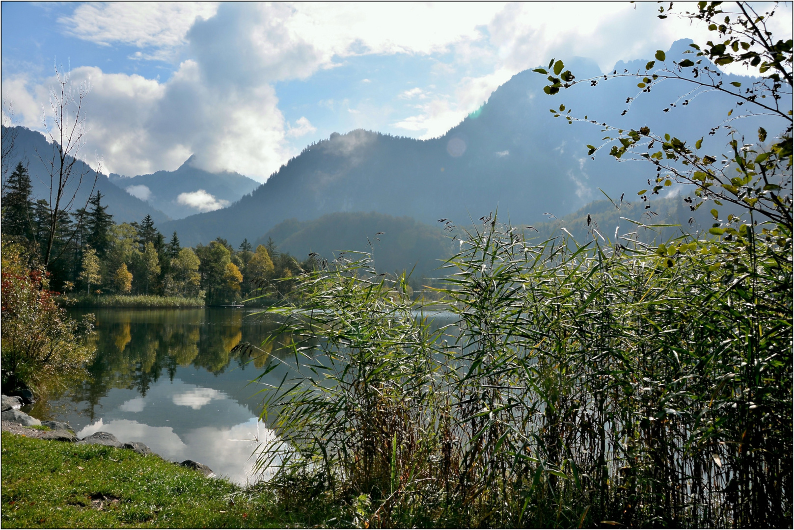 am Schwansee in Schwangau/Ostallgäu