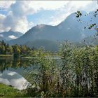 am Schwansee in Schwangau/Ostallgäu