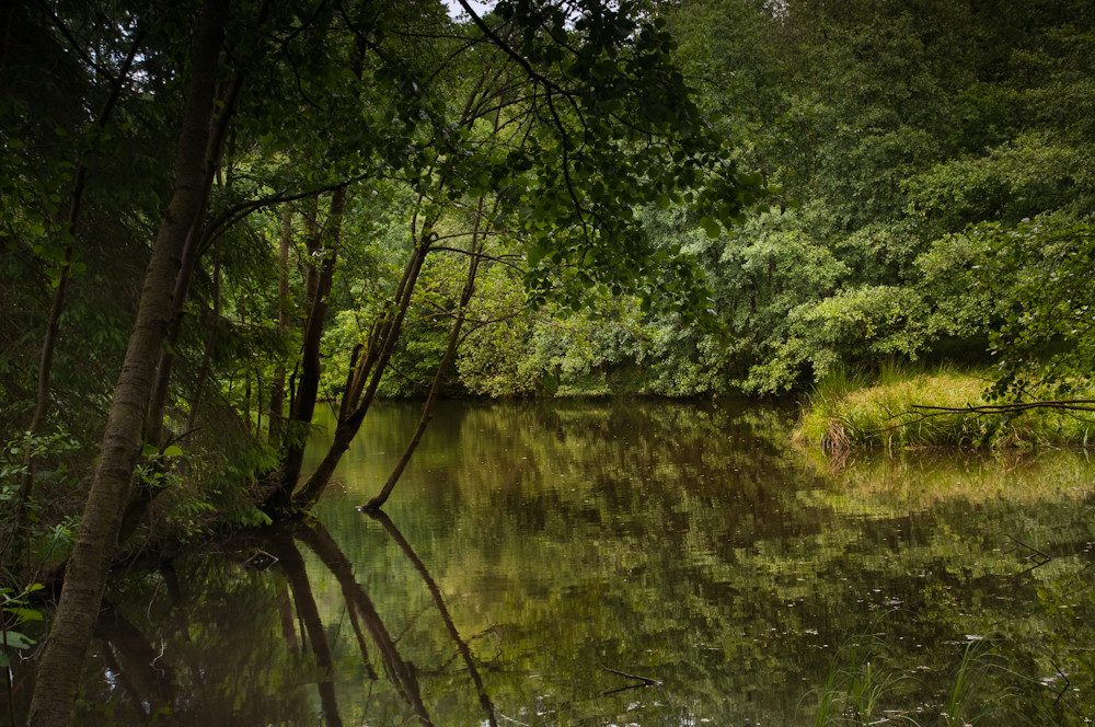 Am Schwarzbachsee