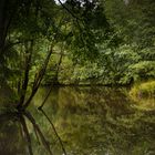 Am Schwarzbachsee