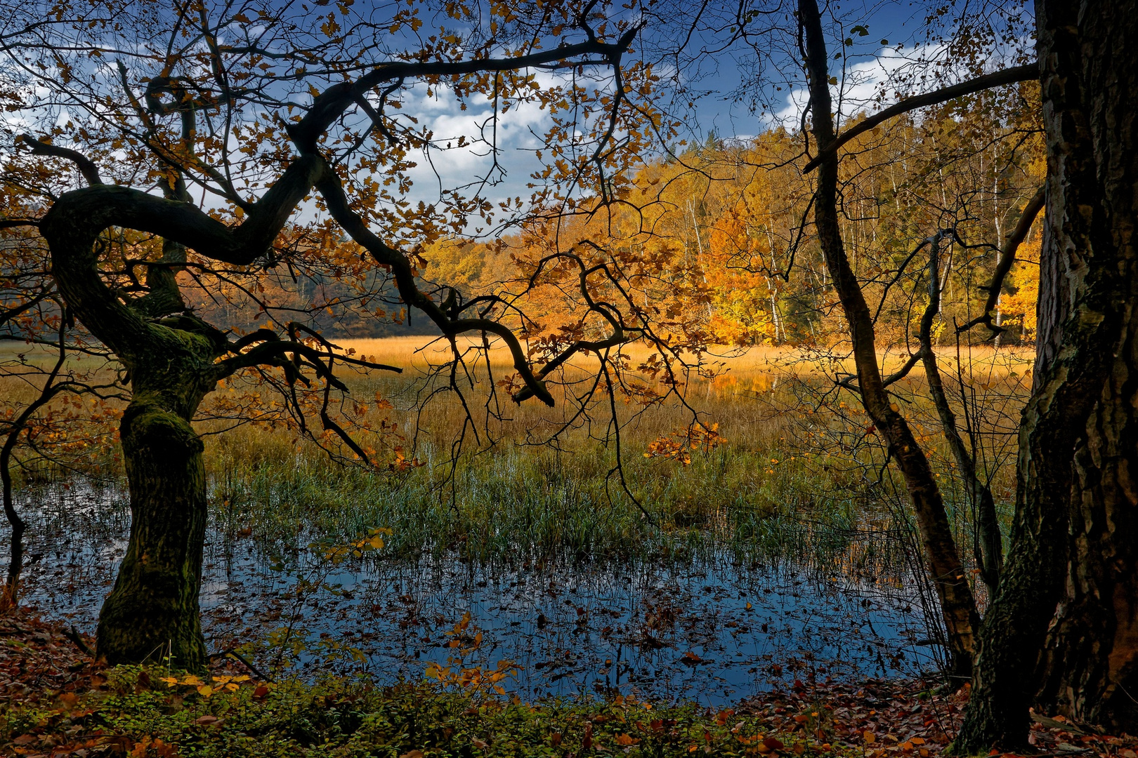 Am Schwarzen Moor...