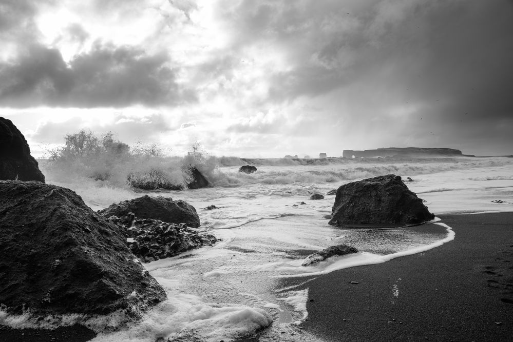 am schwarzen Strand Reynisfjara in Island