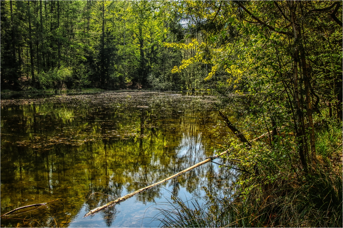 Am Schwarzen Teich