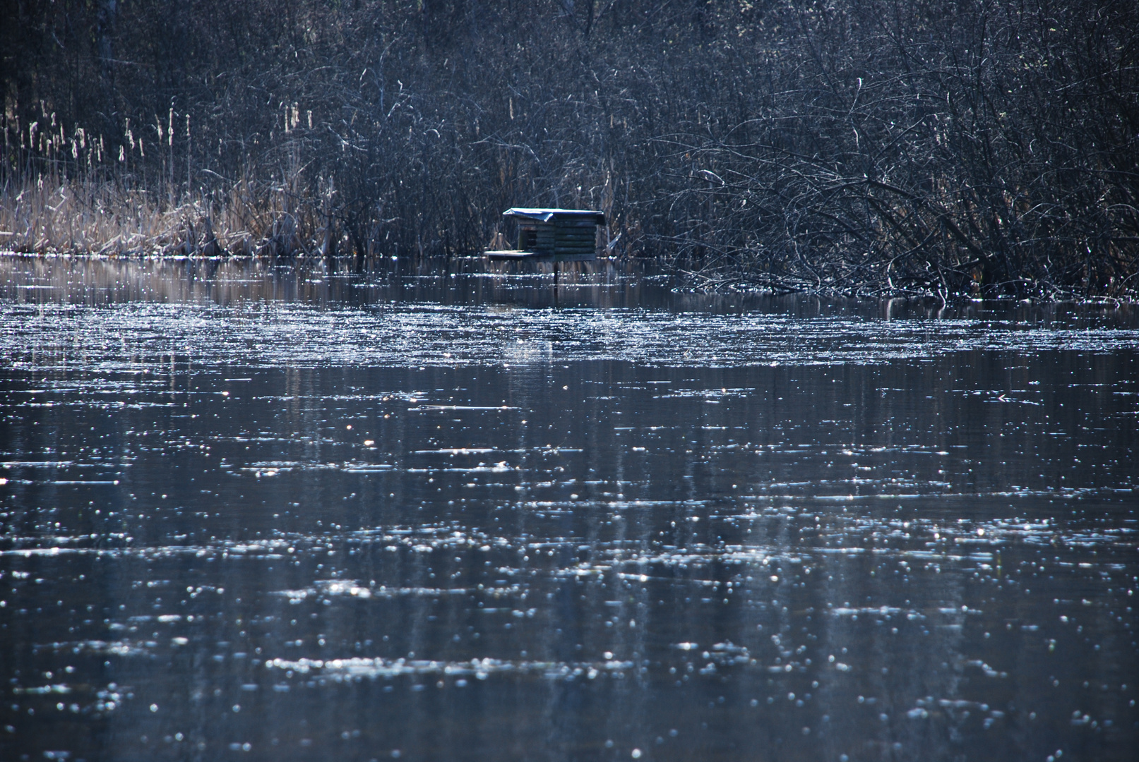 Am Schwarzen Teich 2