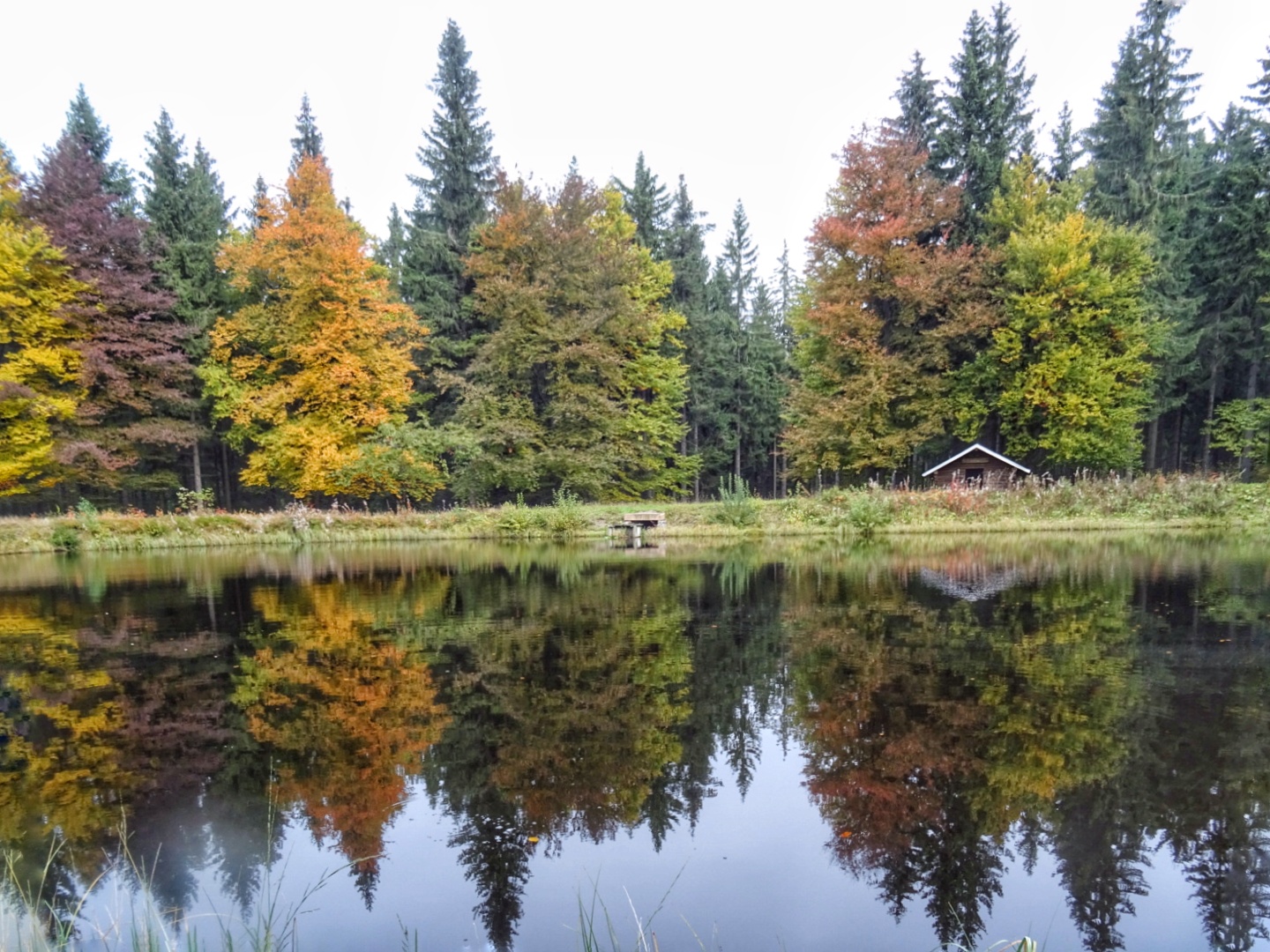 am schwarzen Teich wird's bunt Foto & Bild landschaft, jahreszeiten