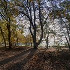 Am schwarzen Wasser bei Wesel