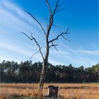 Am schwarzen Wasser bei Wesel