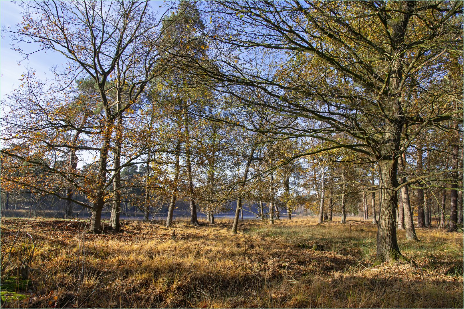 Am schwarzen Wasser bei Wesel