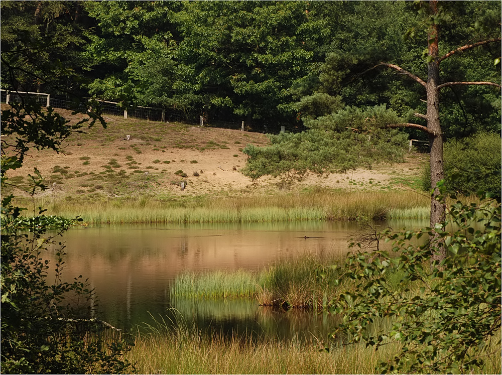 Am schwarzen Wasser