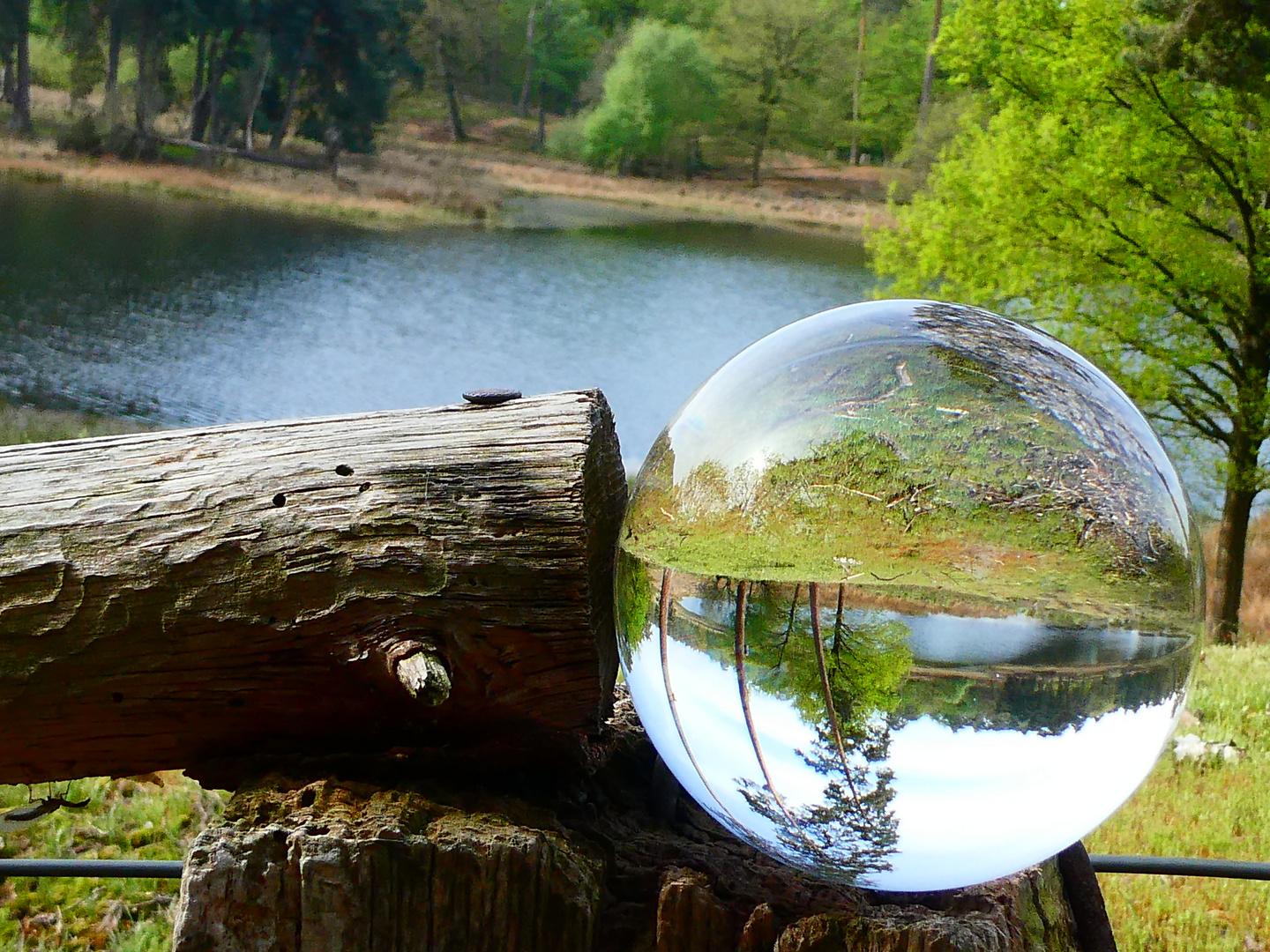 Am Schwarzen Wasser in Wesel