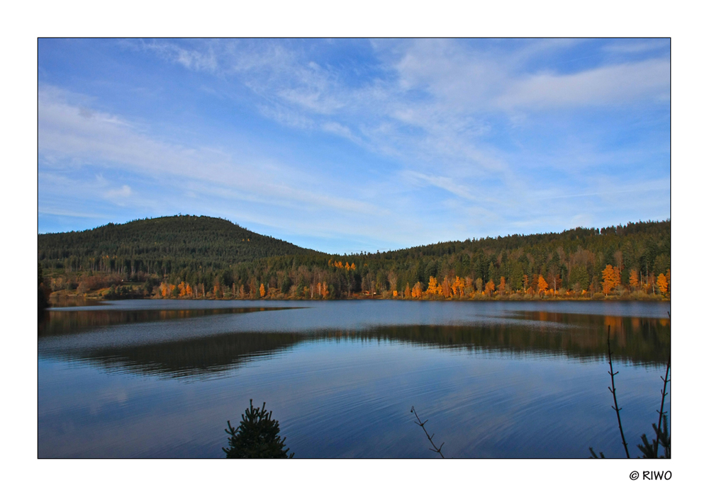 am Schwarzenbach Stausee im Schwarzwald..........