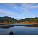 am Schwarzenbach Stausee im Schwarzwald..........