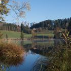 Am Schwarzsee