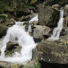 Am Schwarzwasser- Bach im Kleinwalsertal