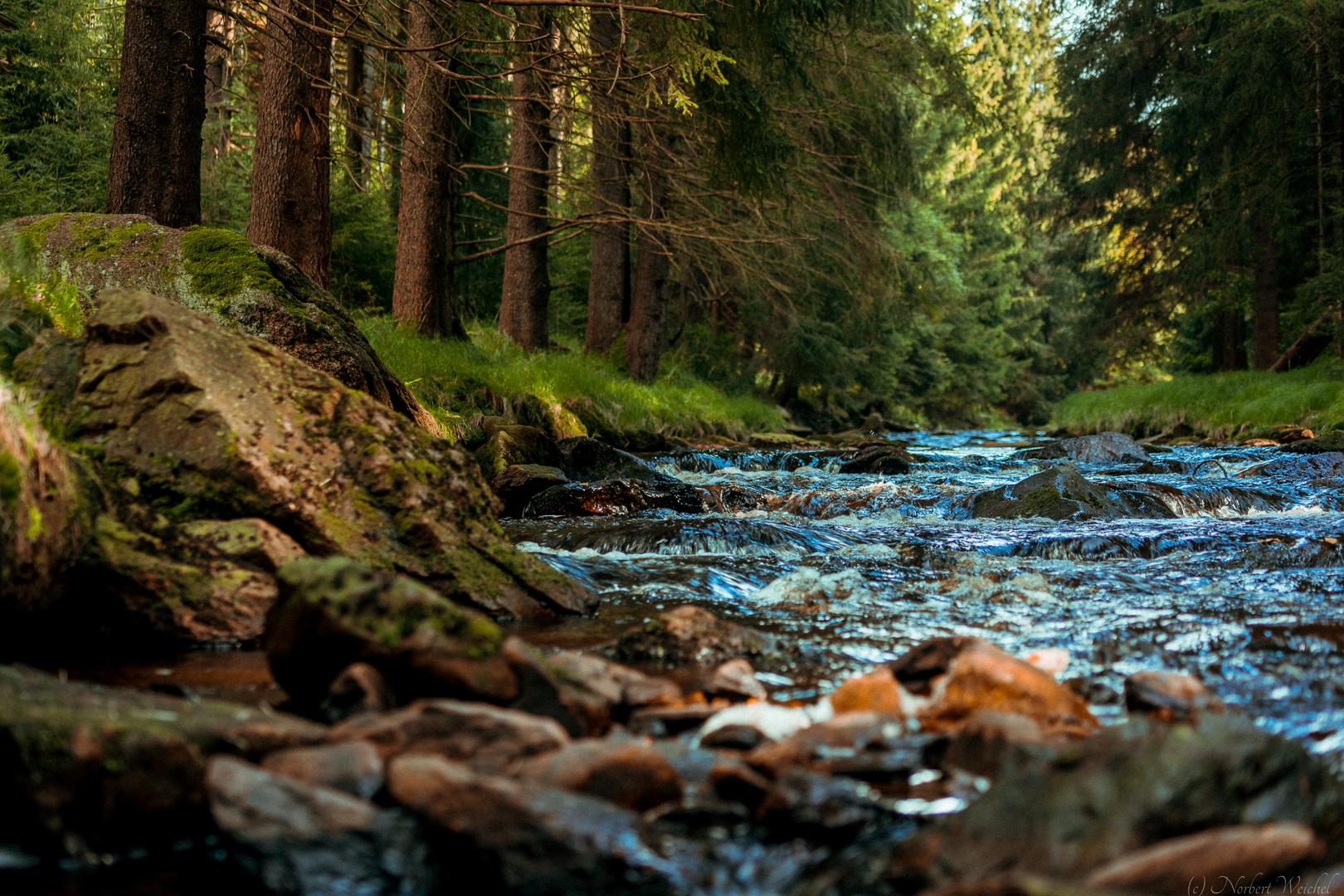 Am Schwarzwassertal