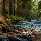 Am Schwarzwassertal