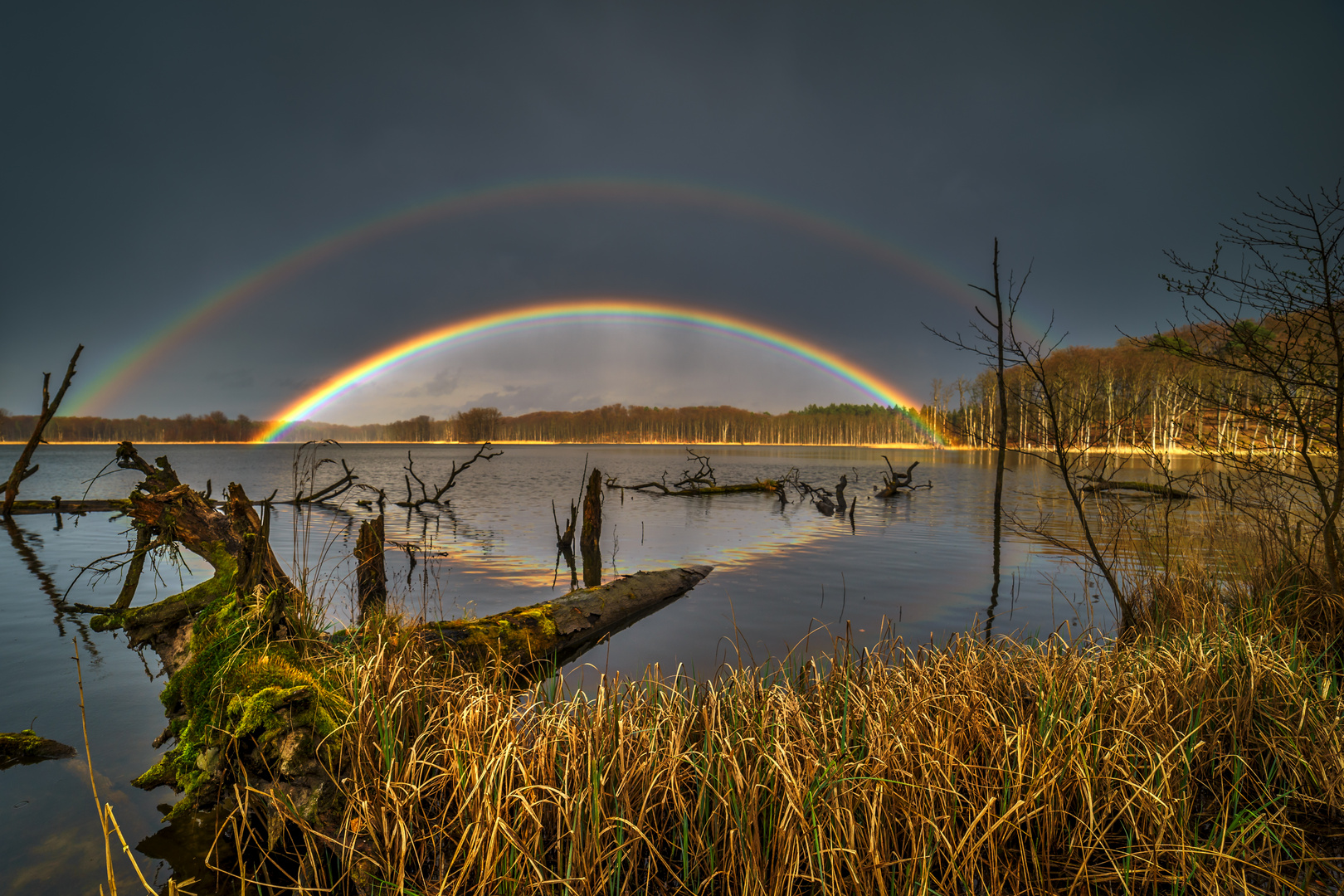 Am Schweingartensee bei Neustrelitz