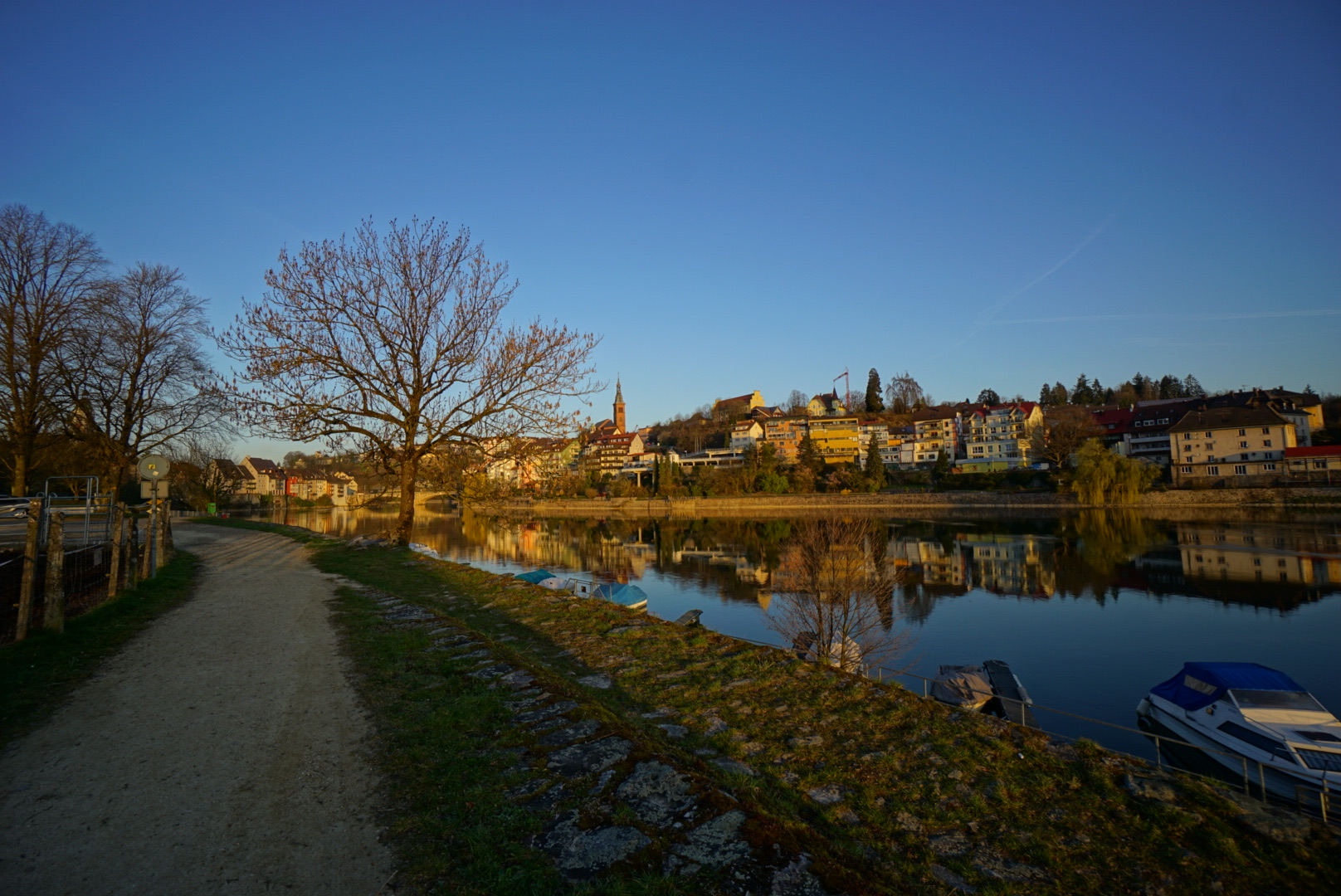 Am Schweizer Ufer des Rheins