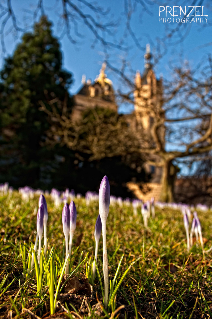 Am Schweriner Schloss