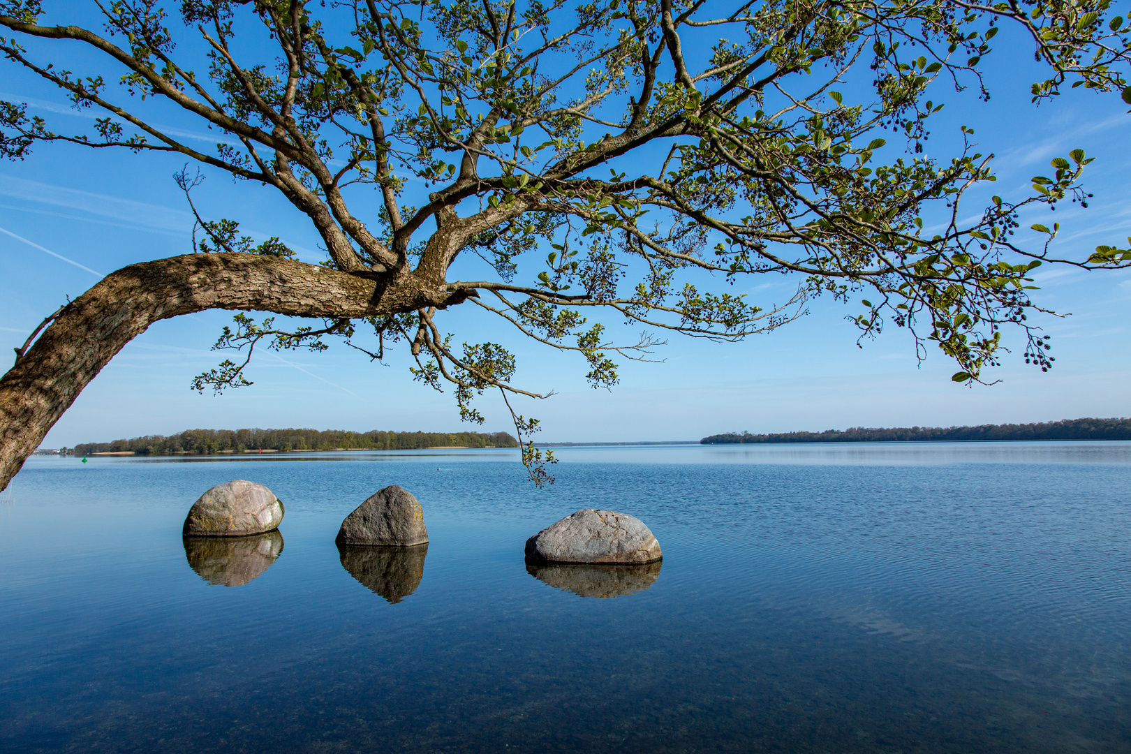 Am Schweriner See