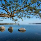 Am Schweriner See