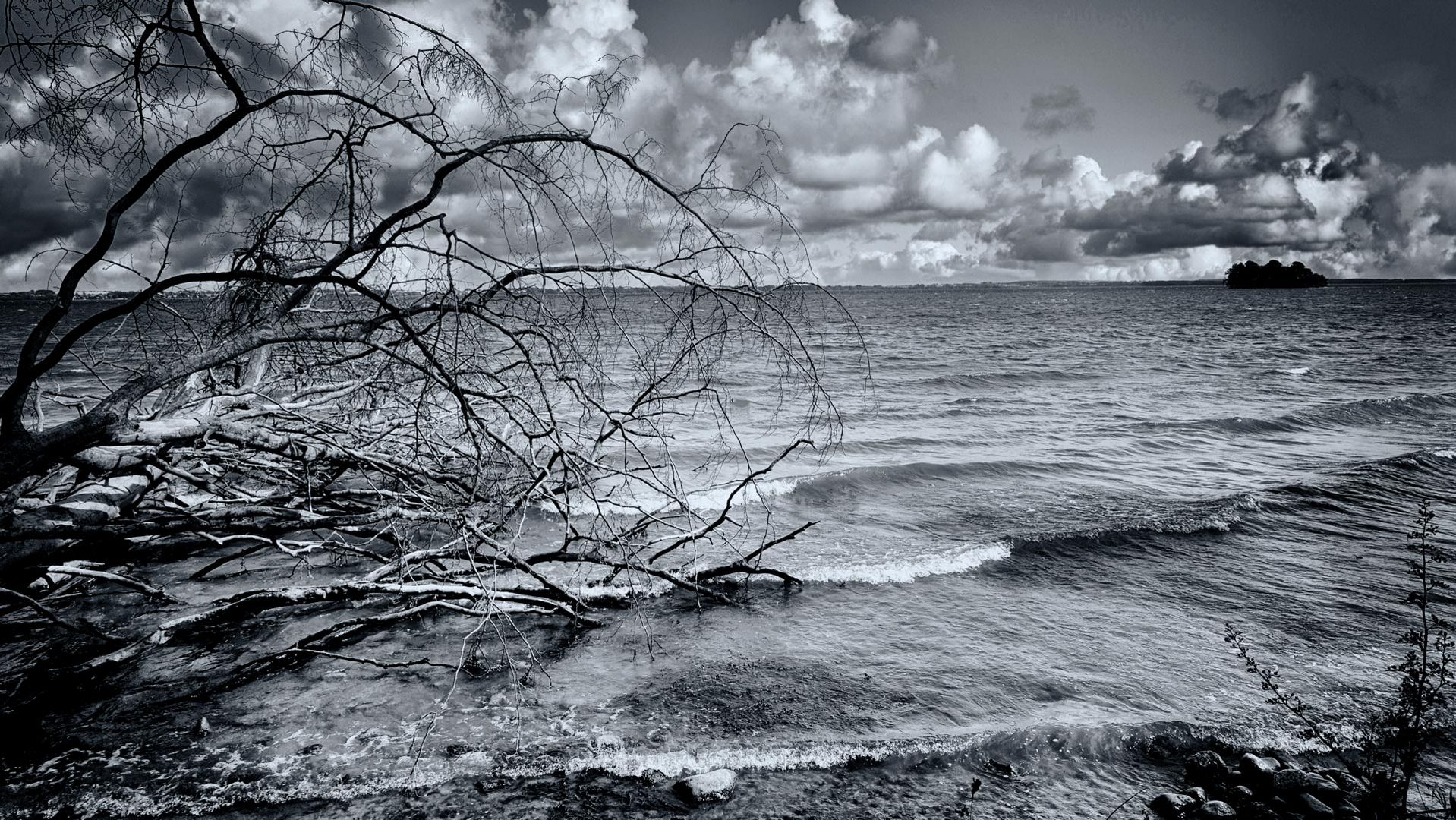 Am Schweriner See 