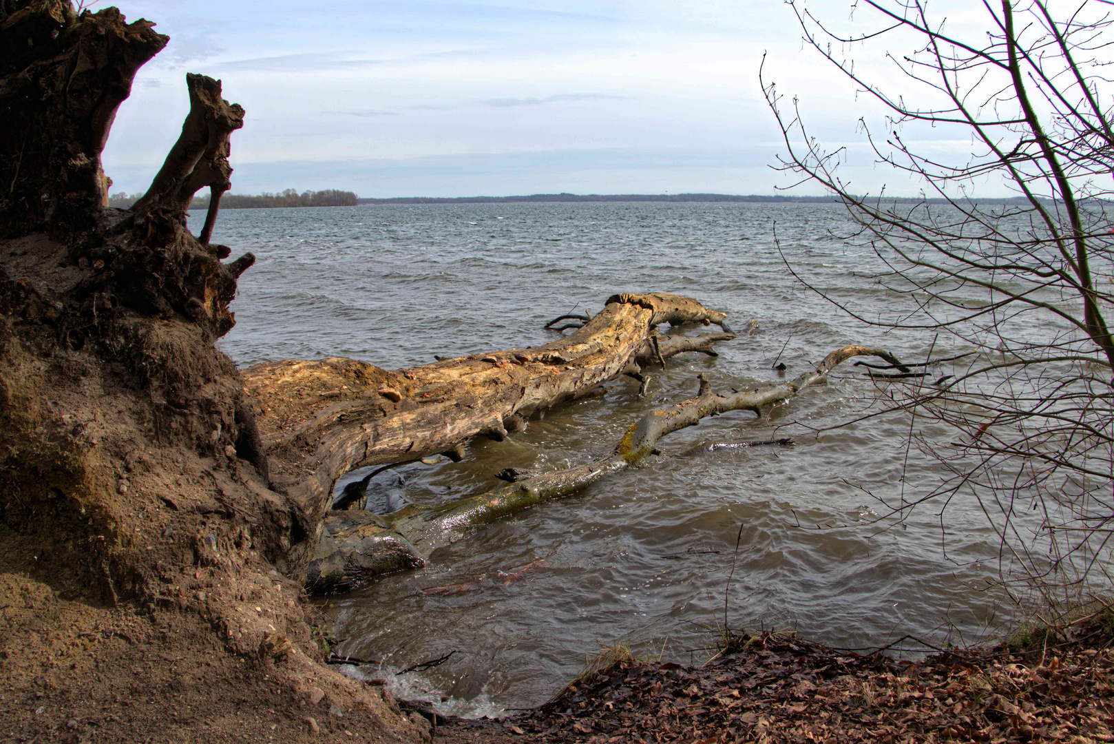 Am Schweriner See