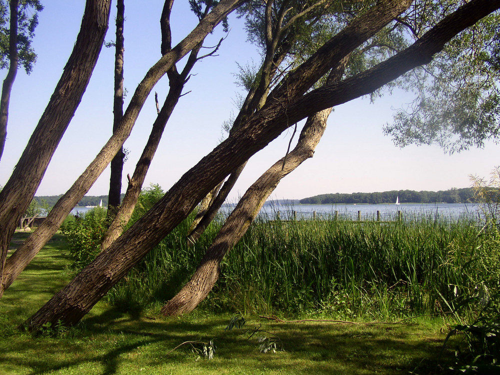 am schweriner See