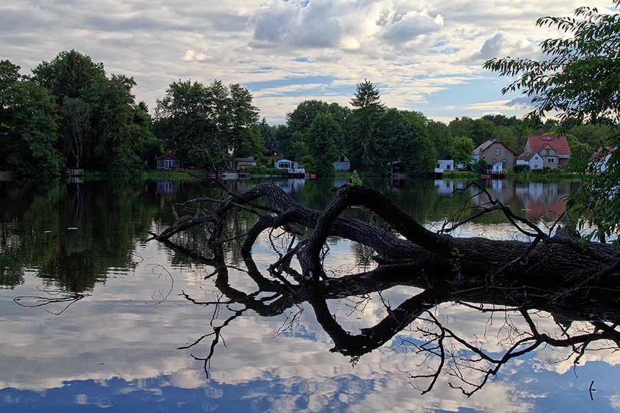 Am Seddiner See